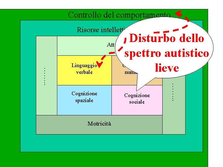 Controllo del comportamento Risorse intellettive generali Disturbo dello spettro autistico Cognizione lieve numerica Attenzione