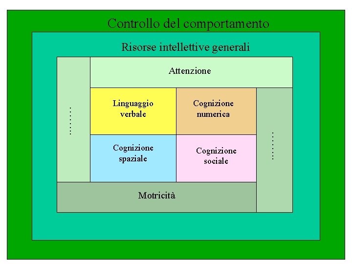 Controllo del comportamento Risorse intellettive generali Attenzione Cognizione spaziale Motricità Cognizione numerica Cognizione sociale