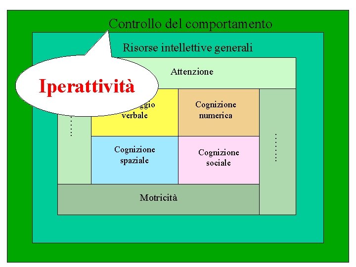 Controllo del comportamento Risorse intellettive generali Attenzione Iperattività Cognizione spaziale Motricità Cognizione numerica Cognizione