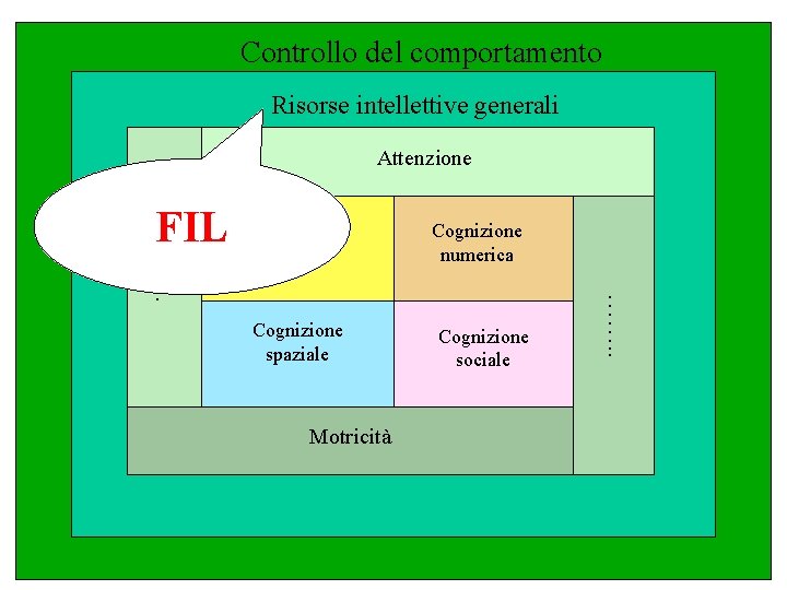 Controllo del comportamento Risorse intellettive generali Attenzione Linguaggio verbale Cognizione spaziale Motricità Cognizione numerica