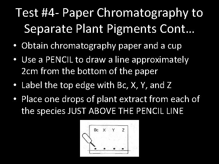 Test #4 - Paper Chromatography to Separate Plant Pigments Cont… • Obtain chromatography paper