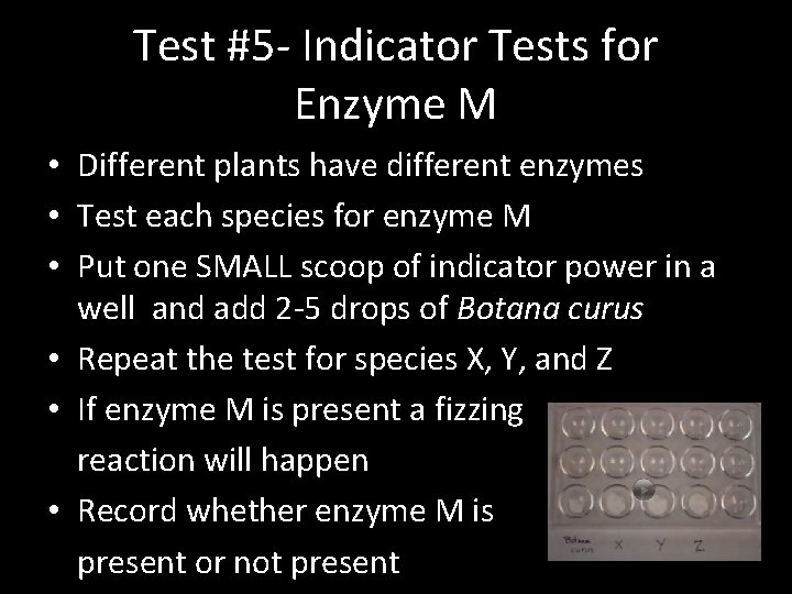 Test #5 - Indicator Tests for Enzyme M • Different plants have different enzymes