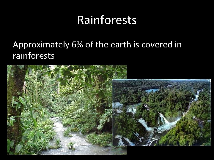 Rainforests Approximately 6% of the earth is covered in rainforests 