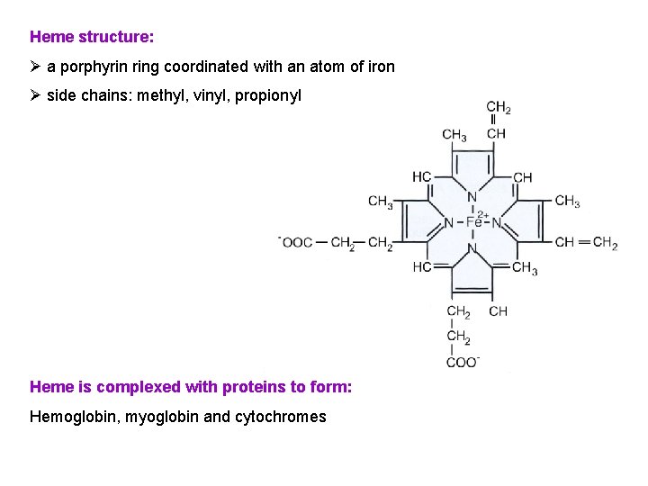 Heme structure: Ø a porphyrin ring coordinated with an atom of iron Ø side
