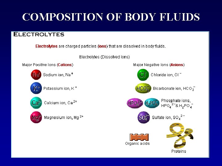 COMPOSITION OF BODY FLUIDS 