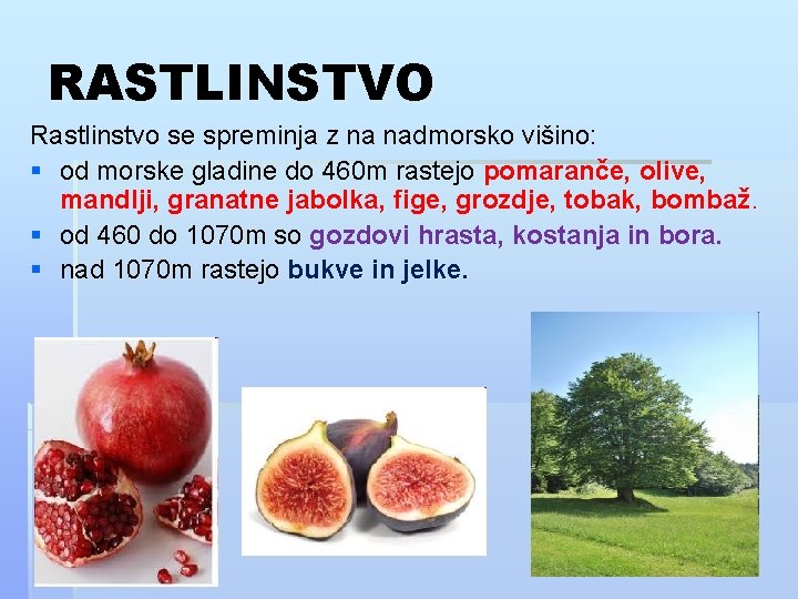 RASTLINSTVO Rastlinstvo se spreminja z na nadmorsko višino: § od morske gladine do 460