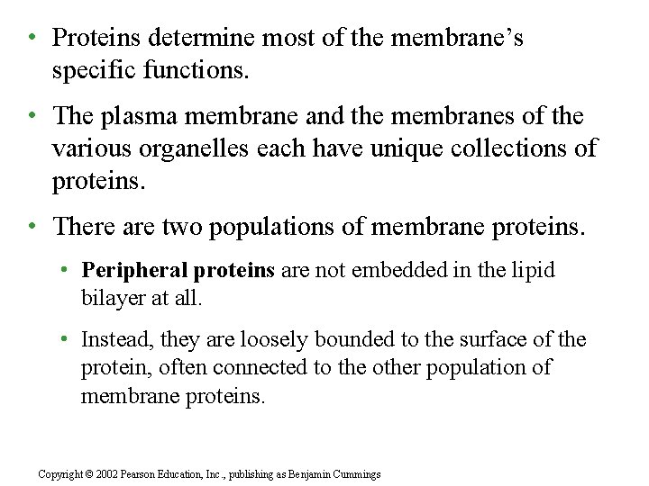  • Proteins determine most of the membrane’s specific functions. • The plasma membrane