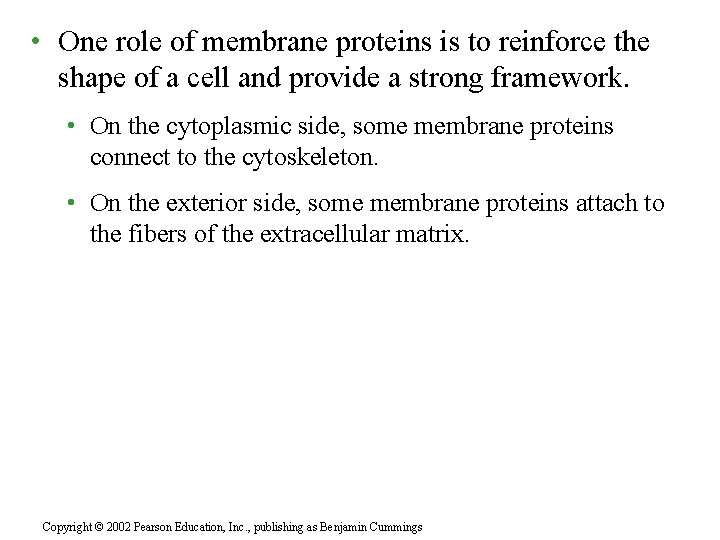  • One role of membrane proteins is to reinforce the shape of a