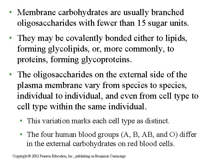  • Membrane carbohydrates are usually branched oligosaccharides with fewer than 15 sugar units.