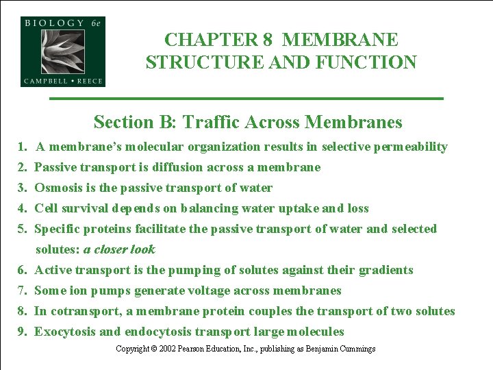 CHAPTER 8 MEMBRANE STRUCTURE AND FUNCTION Section B: Traffic Across Membranes 1. 2. 3.