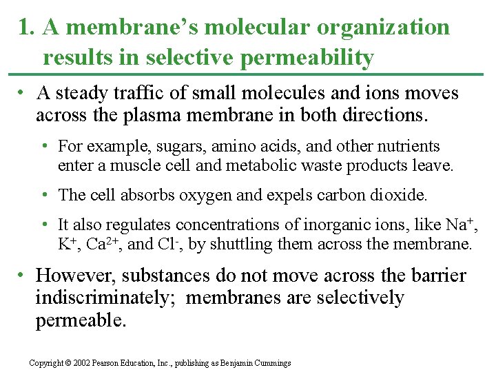 1. A membrane’s molecular organization results in selective permeability • A steady traffic of