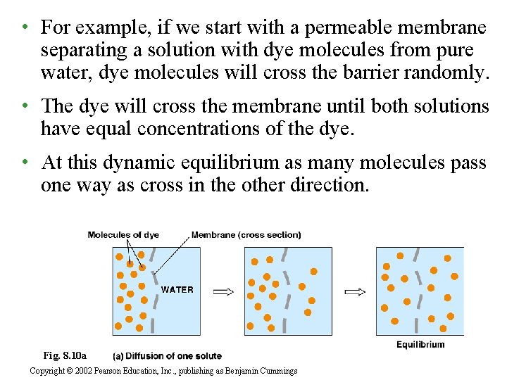  • For example, if we start with a permeable membrane separating a solution