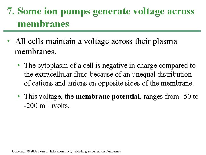 7. Some ion pumps generate voltage across membranes • All cells maintain a voltage