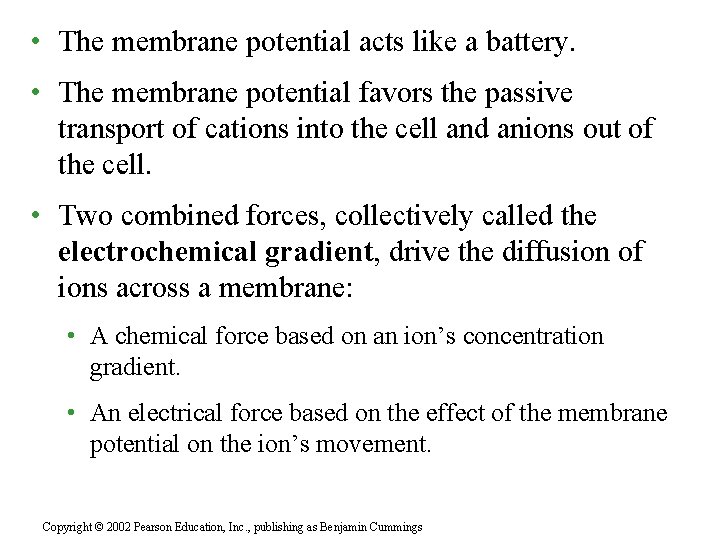  • The membrane potential acts like a battery. • The membrane potential favors