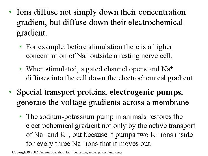  • Ions diffuse not simply down their concentration gradient, but diffuse down their