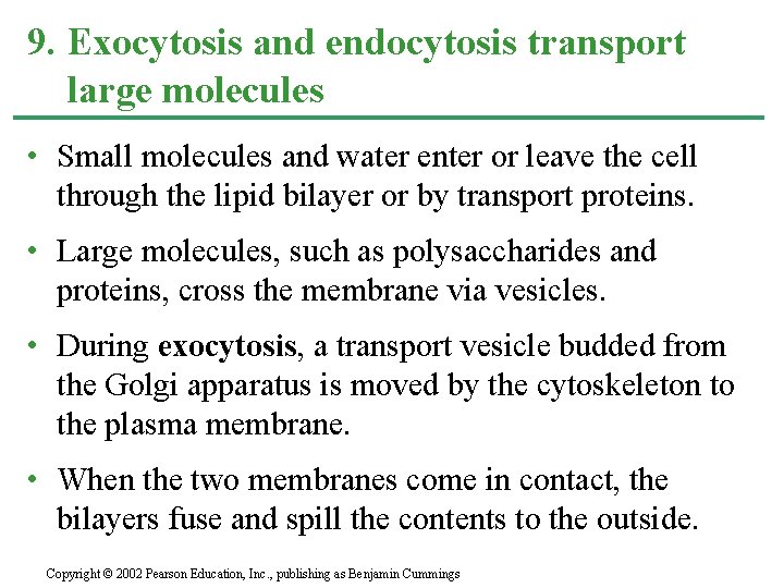 9. Exocytosis and endocytosis transport large molecules • Small molecules and water enter or