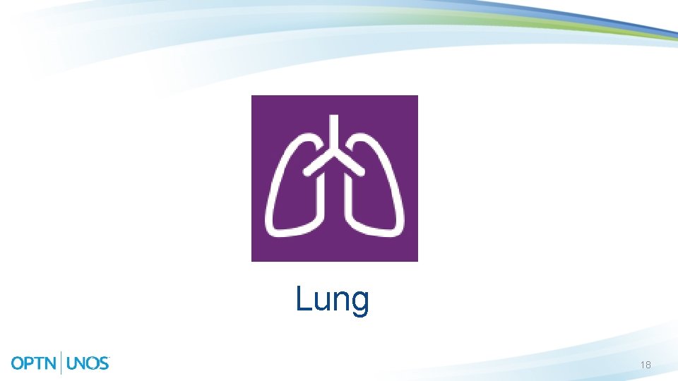 Lung 18 