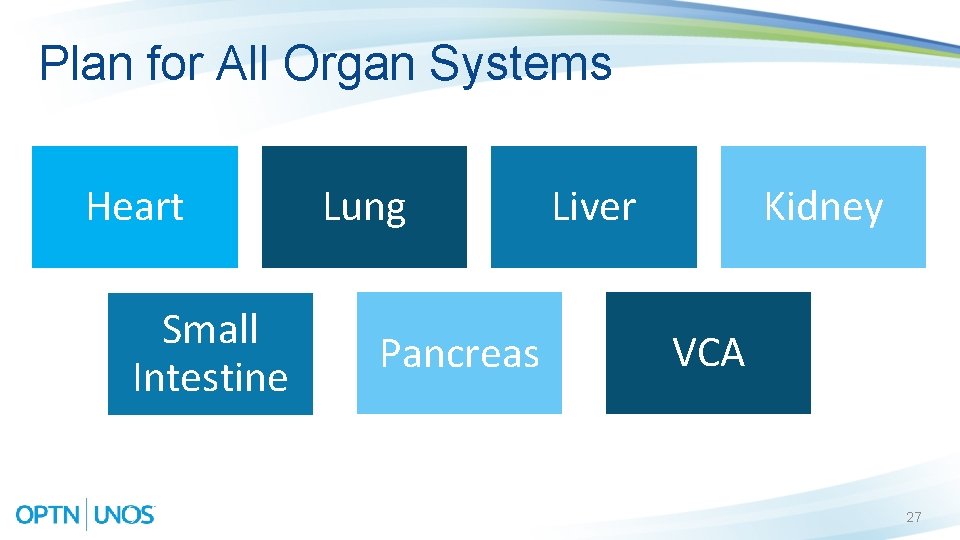 Plan for All Organ Systems Heart Small Intestine Lung Pancreas Liver Kidney VCA 27