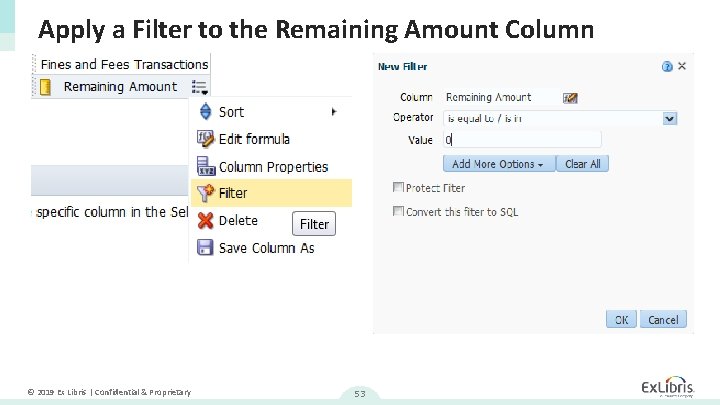 Apply a Filter to the Remaining Amount Column © 2019 Ex Libris | Confidential