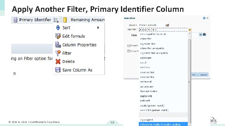 Apply Another Filter, Primary Identifier Column © 2019 Ex Libris | Confidential & Proprietary