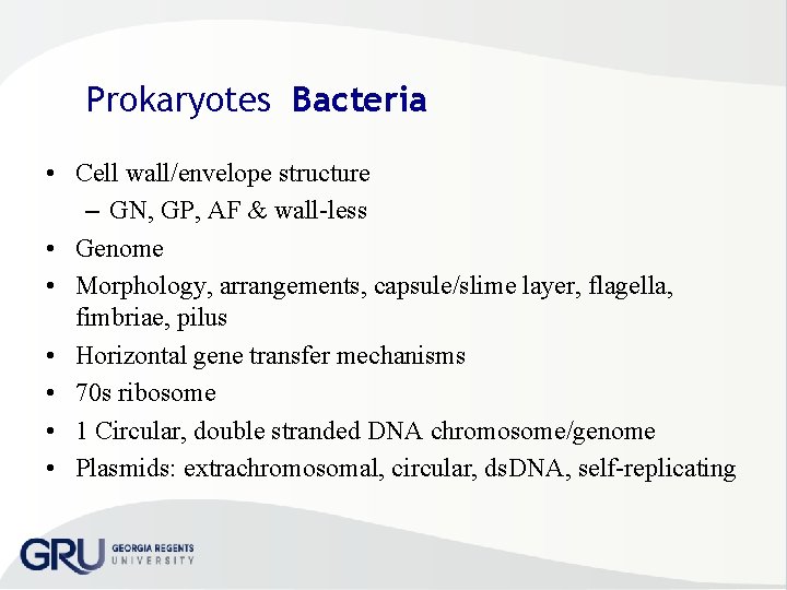 Prokaryotes Bacteria • Cell wall/envelope structure – GN, GP, AF & wall less •