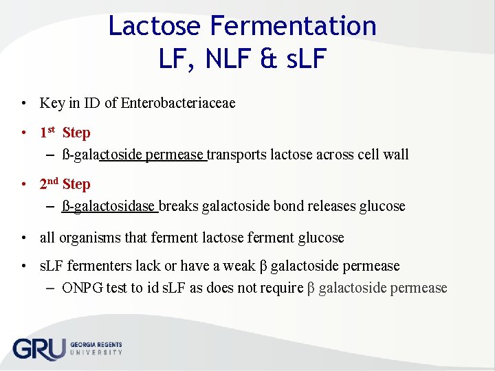 Lactose Fermentation LF, NLF & s. LF • Key in ID of Enterobacteriaceae •