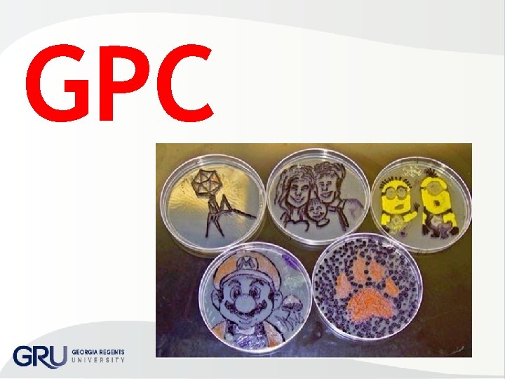 GPC 