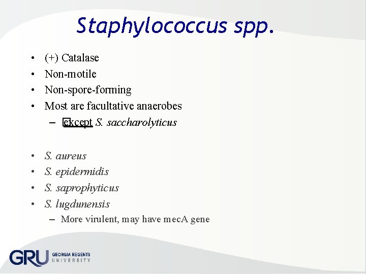 Staphylococcus spp. • • (+) Catalase Non motile Non spore forming Most are facultative