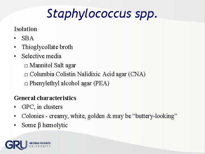 Staphylococcus spp. Isolation • SBA • Thioglycollate broth • Selective media □ Mannitol Salt