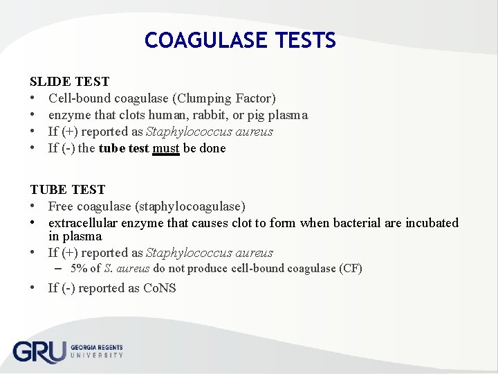 COAGULASE TESTS SLIDE TEST • Cell bound coagulase (Clumping Factor) • enzyme that clots