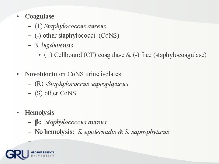  • Coagulase – (+) Staphylococcus aureus – ( ) other staphylococci (Co. NS)