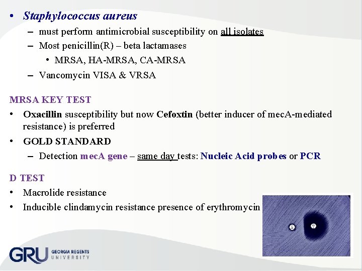  • Staphylococcus aureus – must perform antimicrobial susceptibility on all isolates – Most