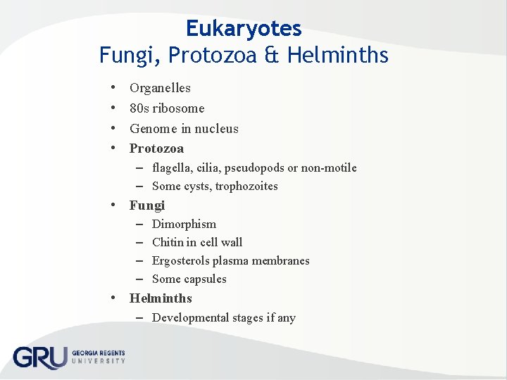 Eukaryotes Fungi, Protozoa & Helminths • • Organelles 80 s ribosome Genome in nucleus