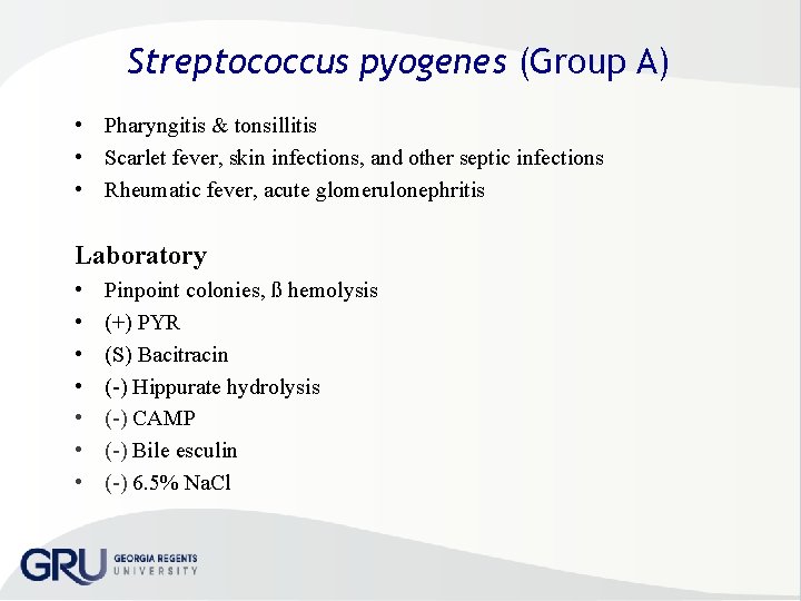 Streptococcus pyogenes (Group A) • Pharyngitis & tonsillitis • Scarlet fever, skin infections, and