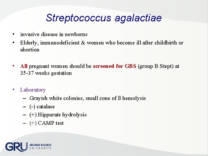 Streptococcus agalactiae • invasive disease in newborns • Elderly, immunodeficient & women who become