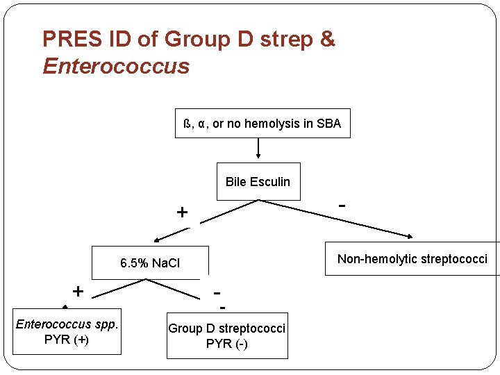 PRES ID of Group D strep & Enterococcus ß, α, or no hemolysis in