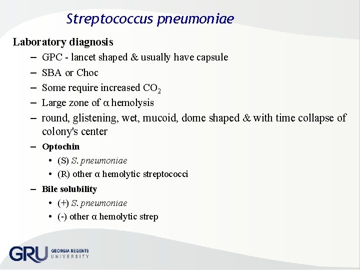Streptococcus pneumoniae Laboratory diagnosis – GPC lancet shaped & usually have capsule – SBA