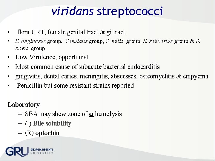 viridans streptococci • flora URT, female genital tract & gi tract • S. anginosus