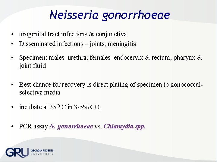 Neisseria gonorrhoeae • urogenital tract infections & conjunctiva • Disseminated infections – joints, meningitis