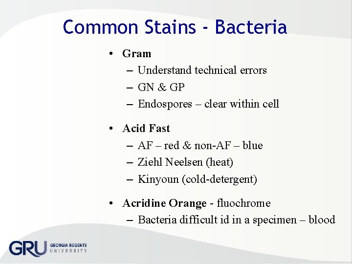 Common Stains - Bacteria • Gram – Understand technical errors – GN & GP