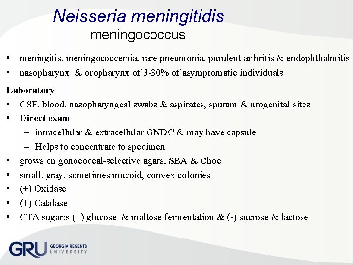 Neisseria meningitidis meningococcus • meningitis, meningococcemia, rare pneumonia, purulent arthritis & endophthalmitis • nasopharynx