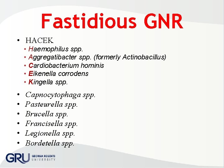 Fastidious GNR • HACEK • Haemophilus spp. • Aggregatibacter spp. (formerly Actinobacillus) • Cardiobacterium