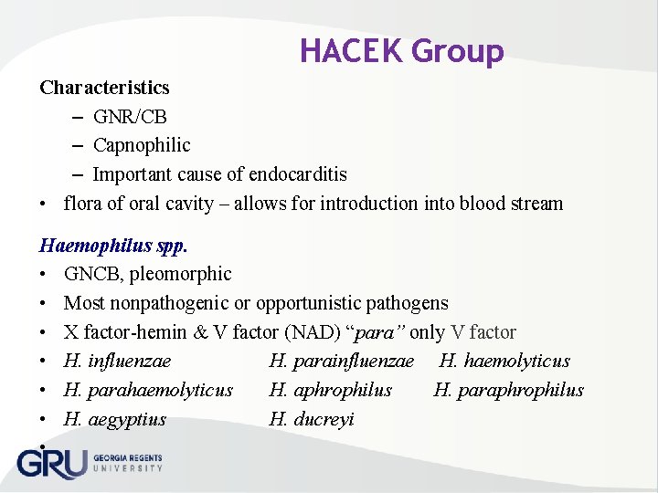 HACEK Group Characteristics – GNR/CB – Capnophilic – Important cause of endocarditis • flora