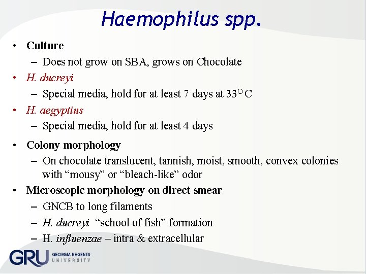 Haemophilus spp. • Culture – Does not grow on SBA, grows on Chocolate •