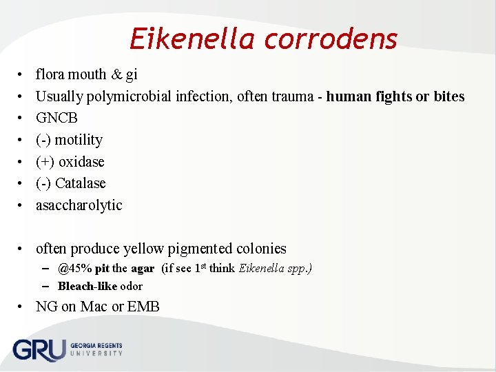 Eikenella corrodens • • flora mouth & gi Usually polymicrobial infection, often trauma human