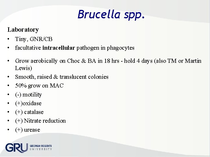 Brucella spp. Laboratory • Tiny, GNR/CB • facultative intracellular pathogen in phagocytes • Grow