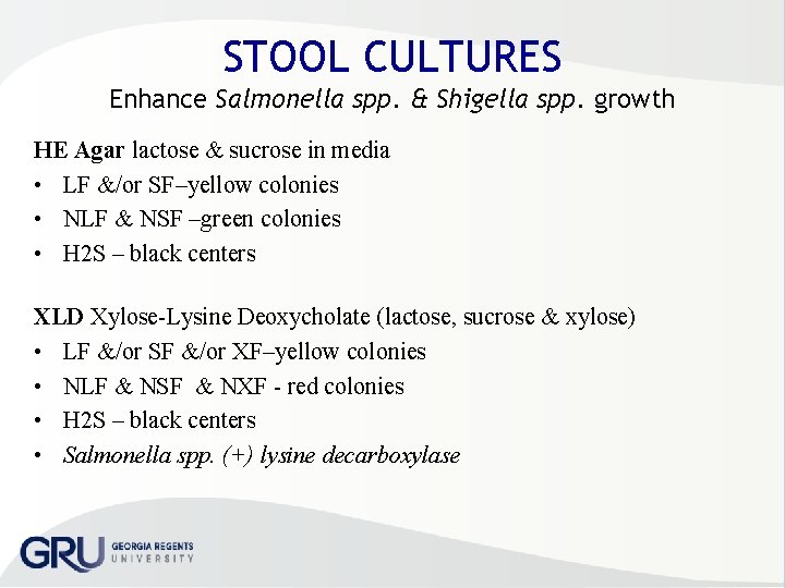 STOOL CULTURES Enhance Salmonella spp. & Shigella spp. growth HE Agar lactose & sucrose