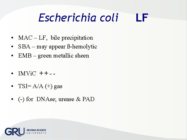 Escherichia coli • MAC – LF, bile precipitation • SBA – may appear ß