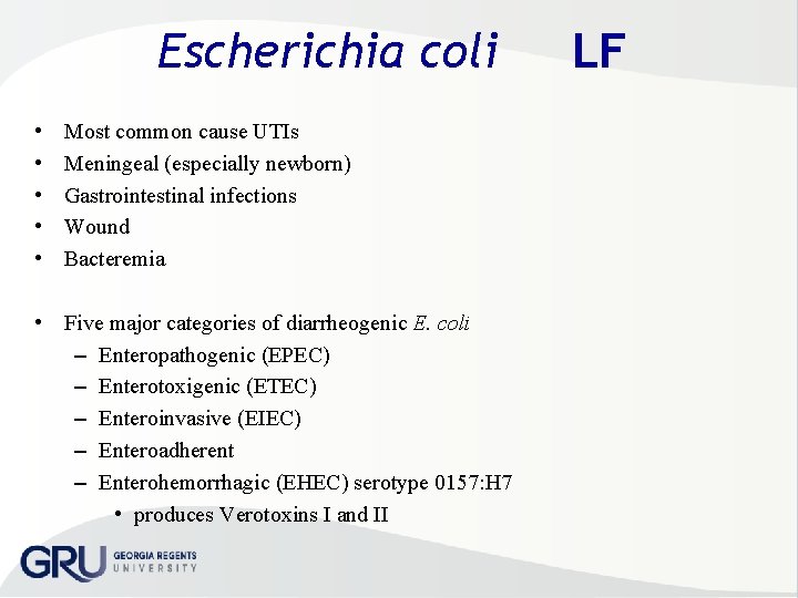 Escherichia coli • • • Most common cause UTIs Meningeal (especially newborn) Gastrointestinal infections