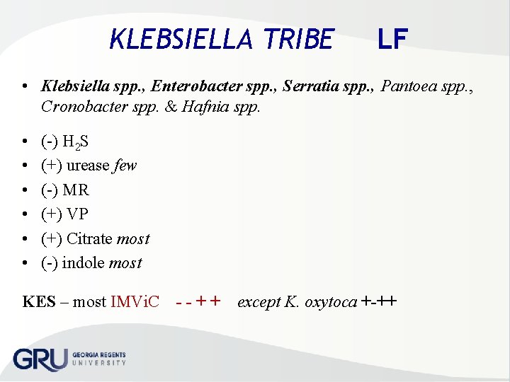KLEBSIELLA TRIBE LF • Klebsiella spp. , Enterobacter spp. , Serratia spp. , Pantoea